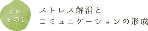 ストレス解消とコミュニケーションの形成