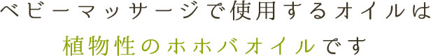 ベビーマッサージで使用するオイルは植物性のホホバオイルです
